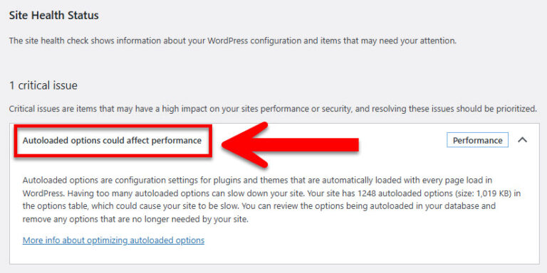วิธีแก้ Autoloaded Options Could affect performance ใน WordPress