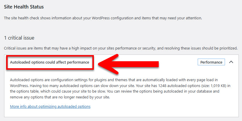 วิธีแก้ Autoloaded Options Could affect performance ใน WordPress